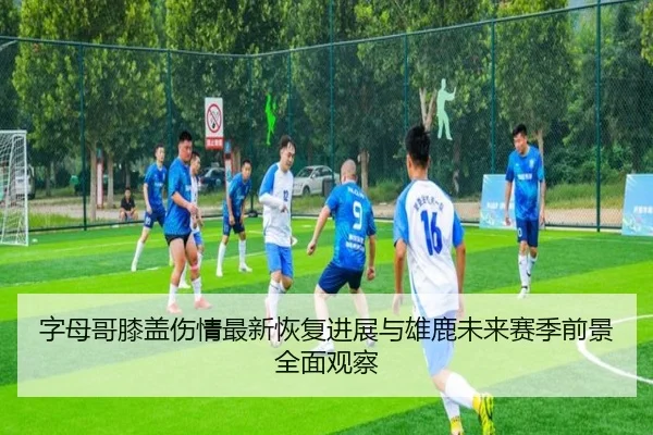 字母哥膝盖伤情最新恢复进展与雄鹿未来赛季前景全面观察